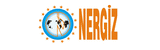 nergiz logo